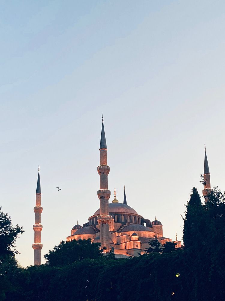 Photograph by Anastasiia