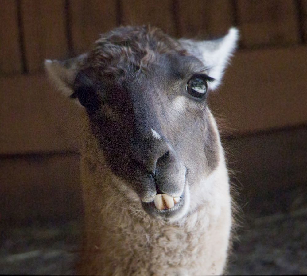 Photograph by Sherry Bowen