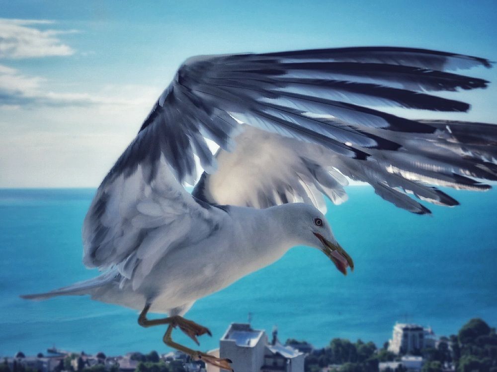 Photograph by Юлия Звонарева