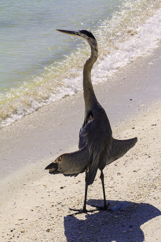 Photograph by Sherry Bowen