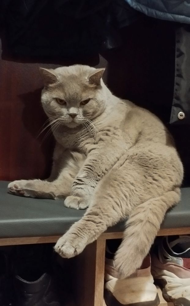 Фотография автора Геннадий Коробов