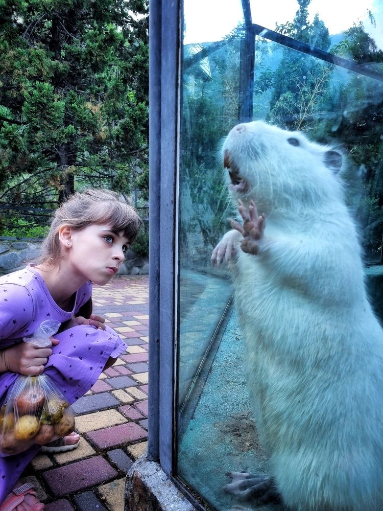 Photograph by Юлия Звонарева