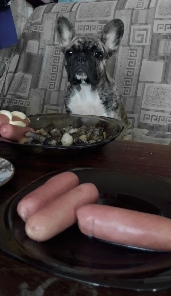 Фотография автора Геннадий Коробов