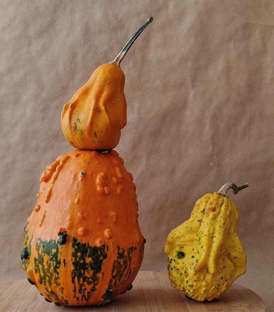 Photograph by Olga Gorokhova