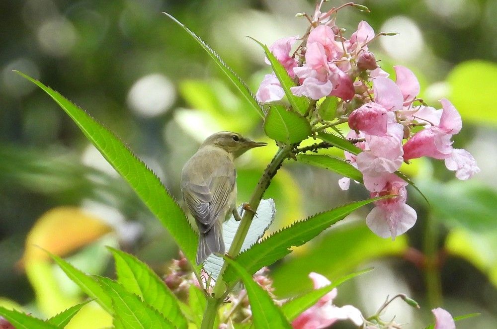 Photograph by Владимир Джерихов