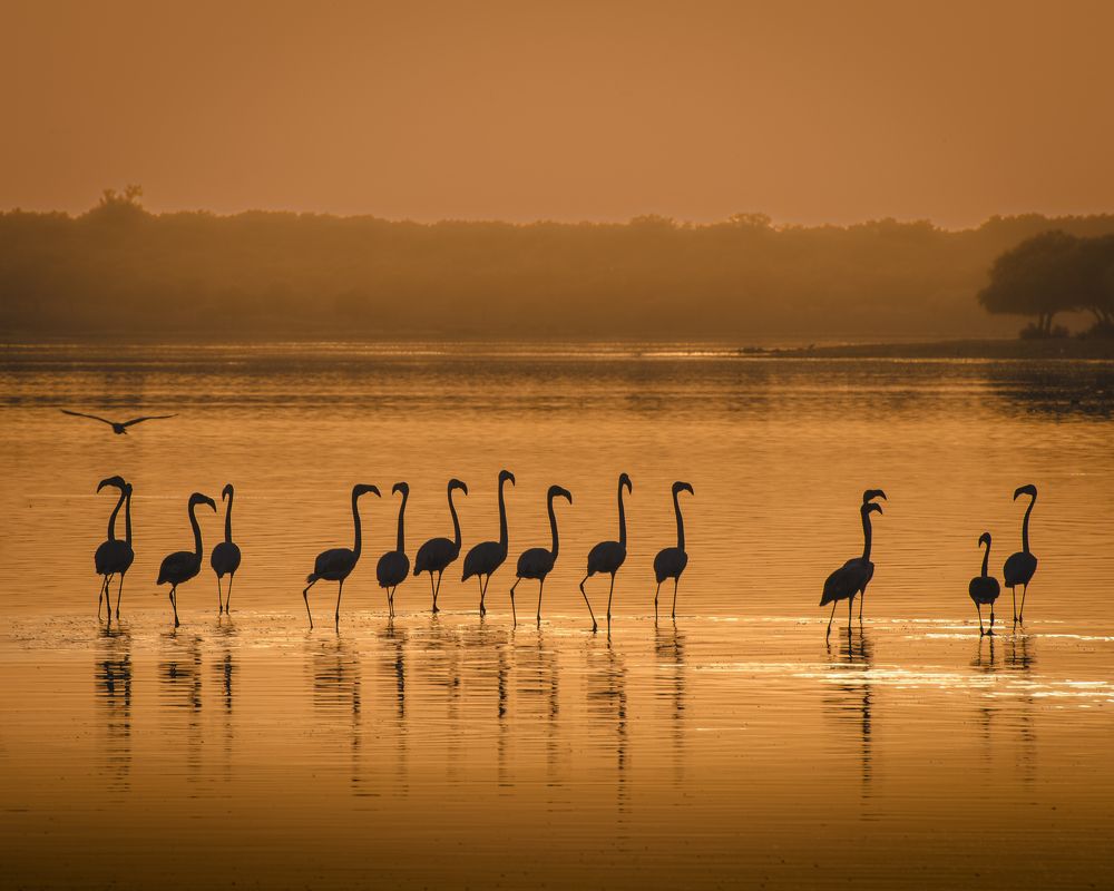 Photograph by Ángel Esteban