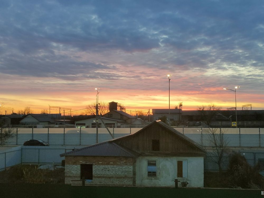 Photo #9819415