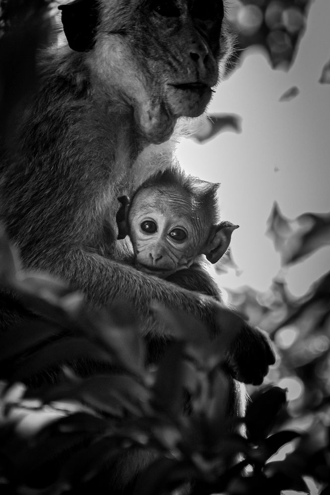 Photograph by Minodh Manuditha