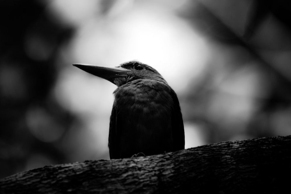 Photograph by shintani yu