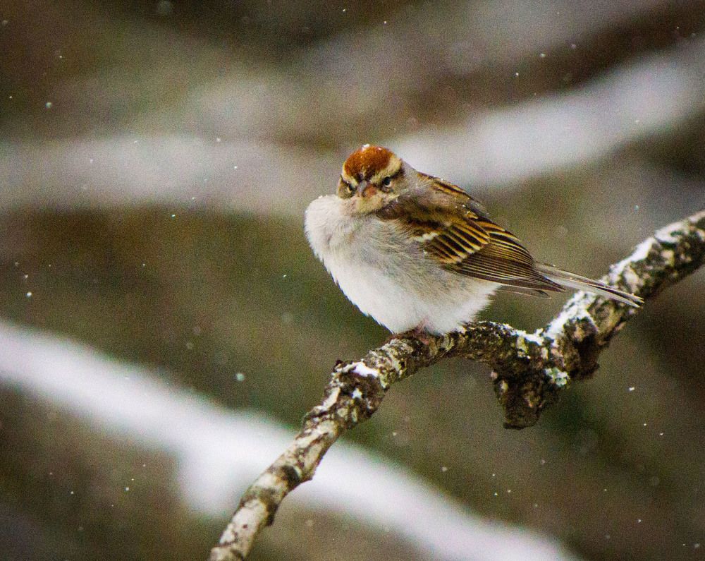 Photograph by Sherry Bowen