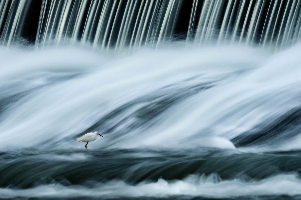 Photograph by shintani yu