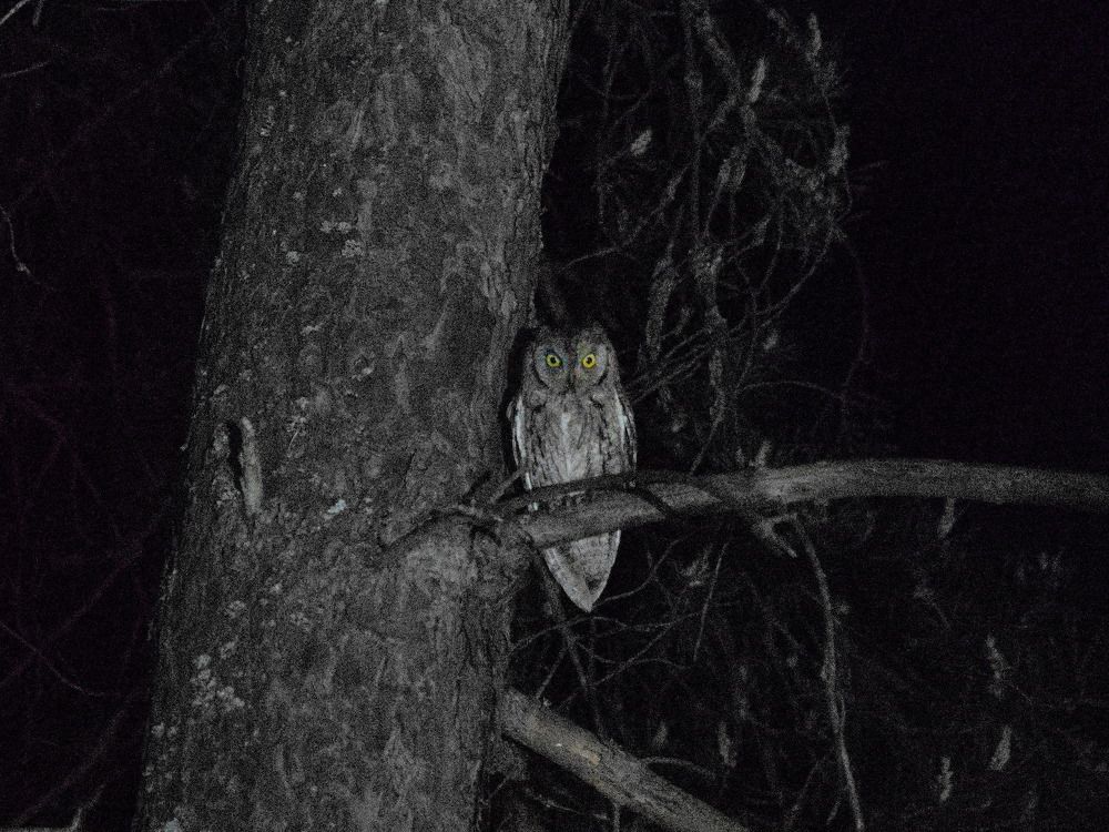 Photograph by Сергей Тузлуков