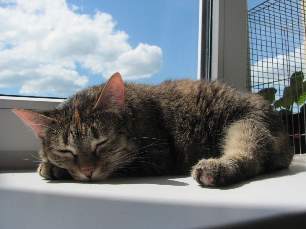 Photograph by Юлия