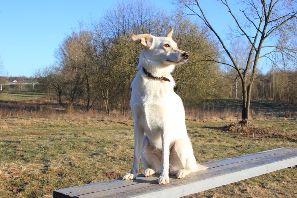 Photograph by Юлия