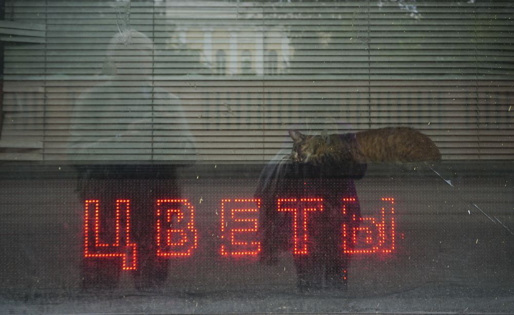 Photograph by Елена Никонова