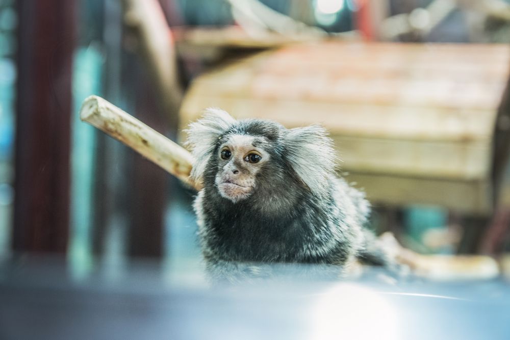 Photograph by Антон Гаврилов