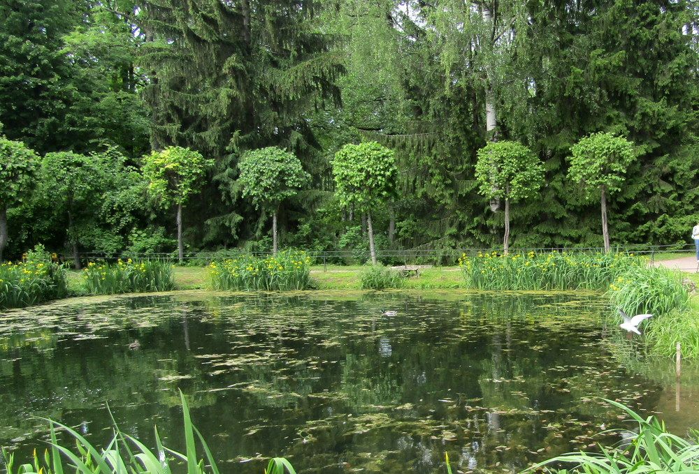 Photograph by Татьяна Смирнова