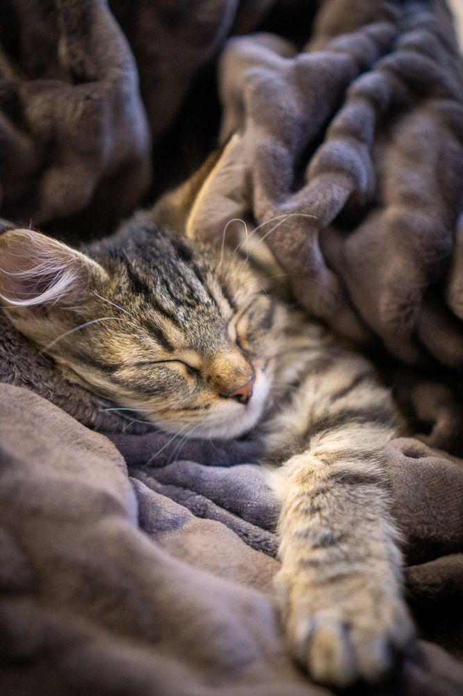 Photograph by Наталья Мэмэлигэ