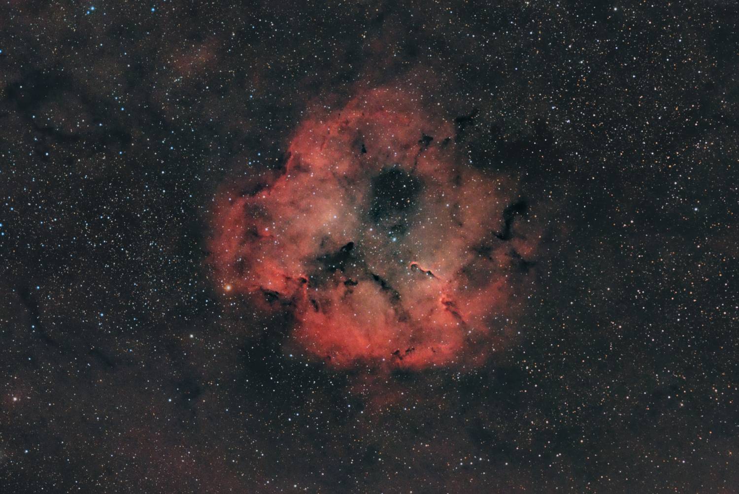 IC 1396, Хобот слона