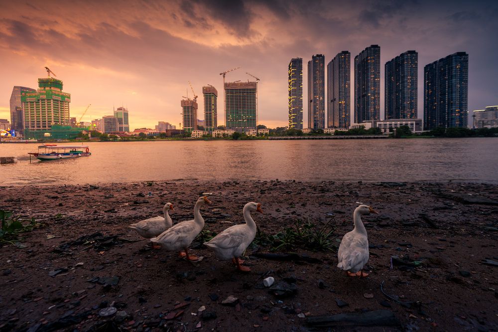 Photograph by Vu Khoa Nguyen Khanh