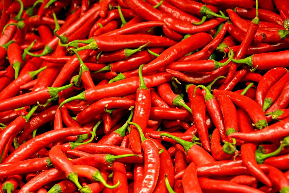 Photograph by Александр Каплан