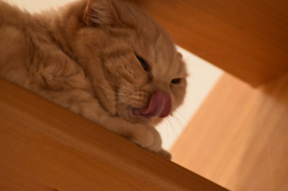 Photograph by Аlina BRAZIUL