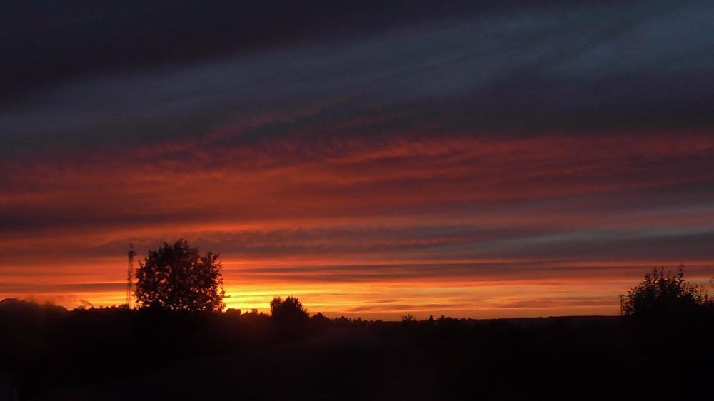 Photograph by Елена Малкова