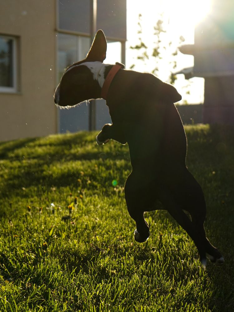 Photograph by Светлана Смирнова