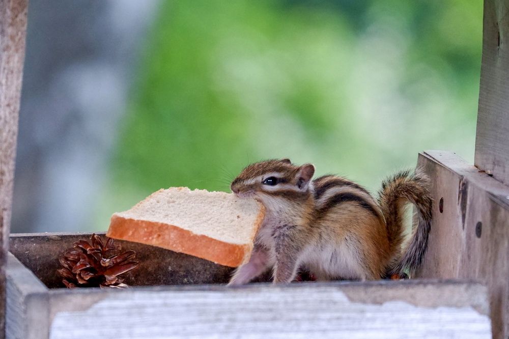 Photograph by Ольга Тюрина