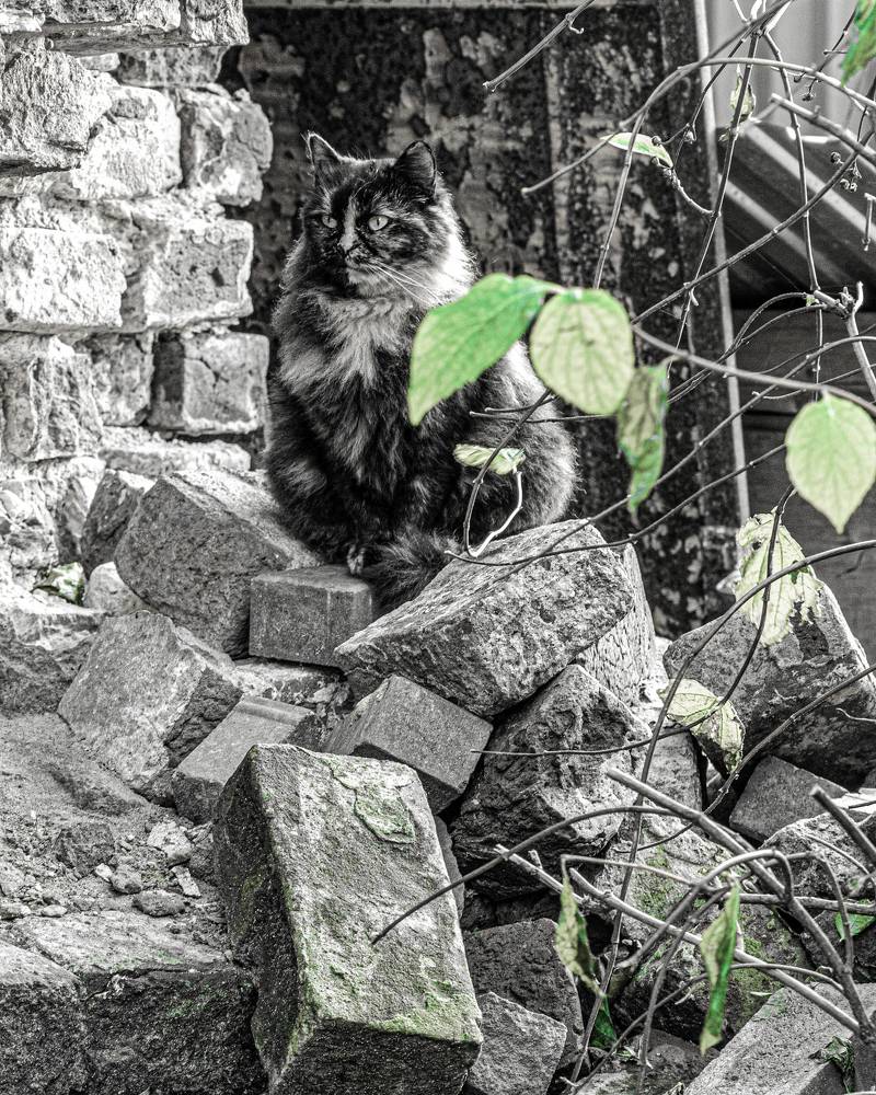 Photograph by Олег