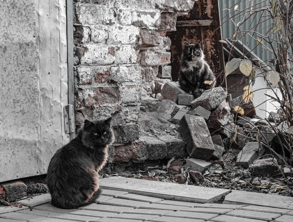 Photograph by Олег