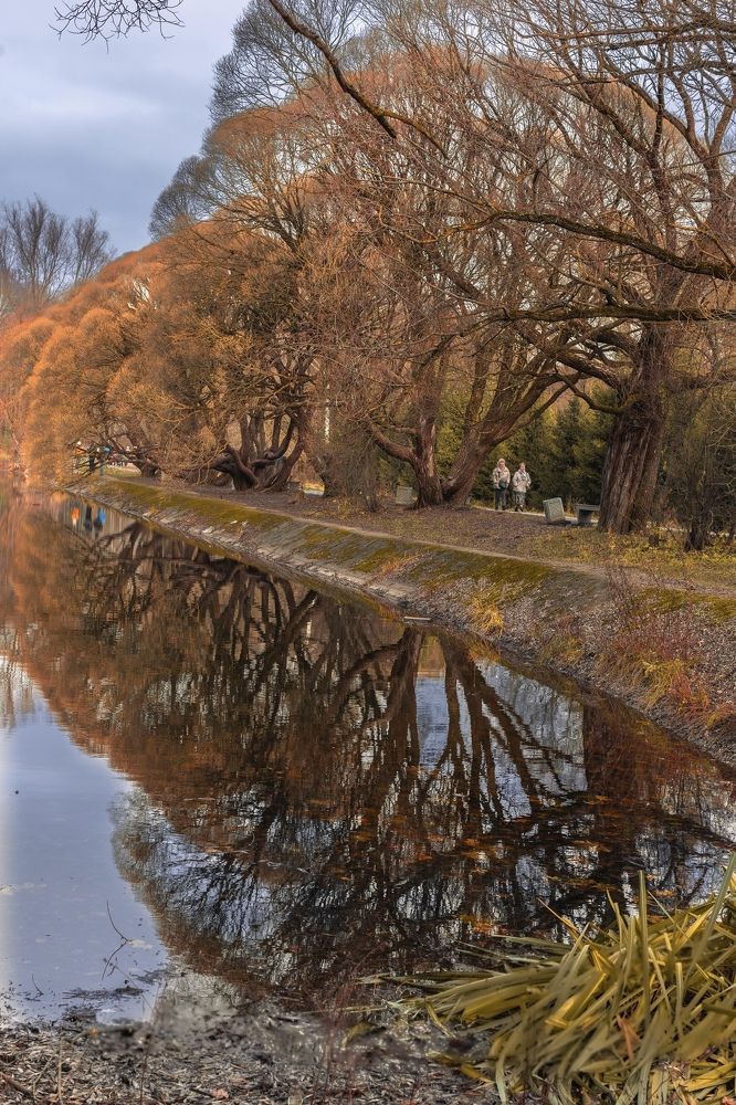 Photograph by Ольга Веретенникова