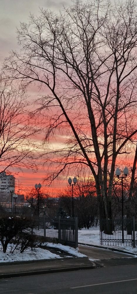 Фотография автора Ольга