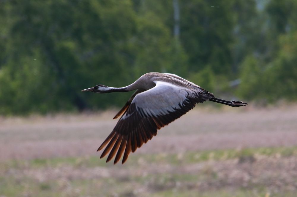 Photograph by Наталья Трифуз