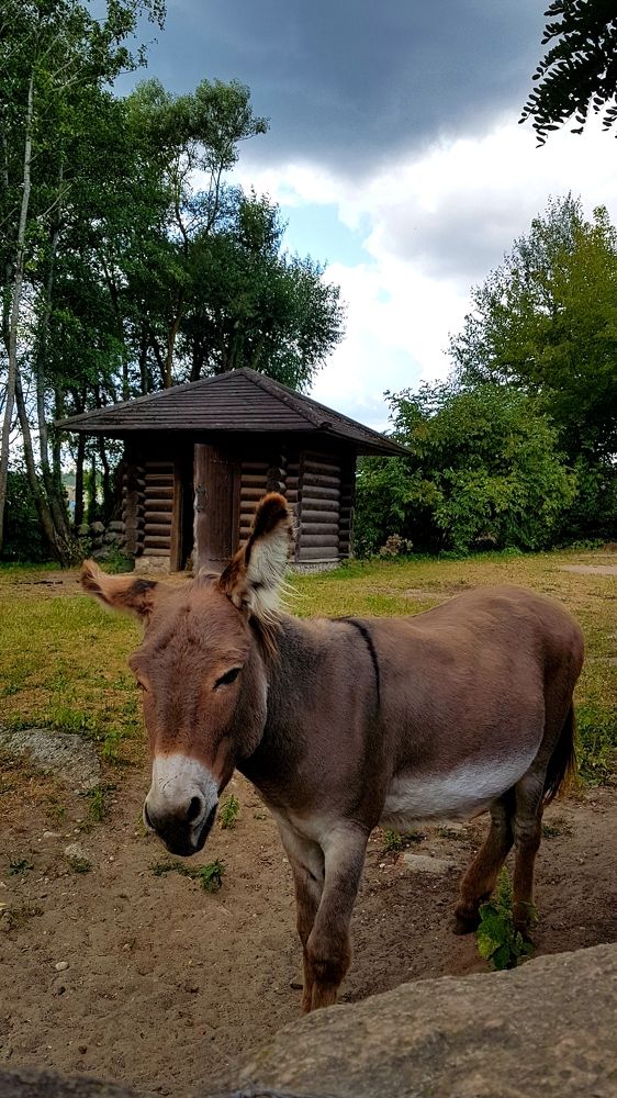 Photograph by Татьяна Соколовская