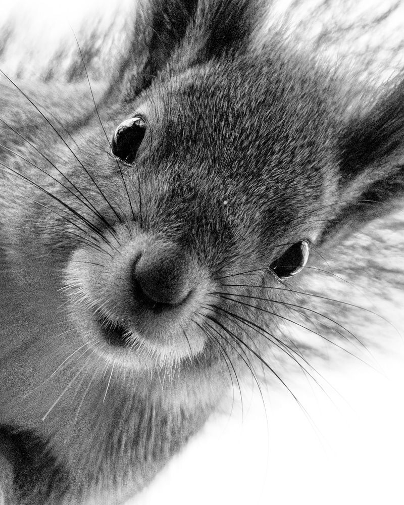 А что это вы здесь делаете??