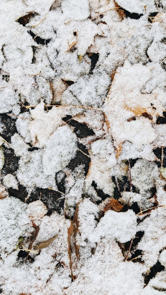 Photograph by Татьяна Никифорова