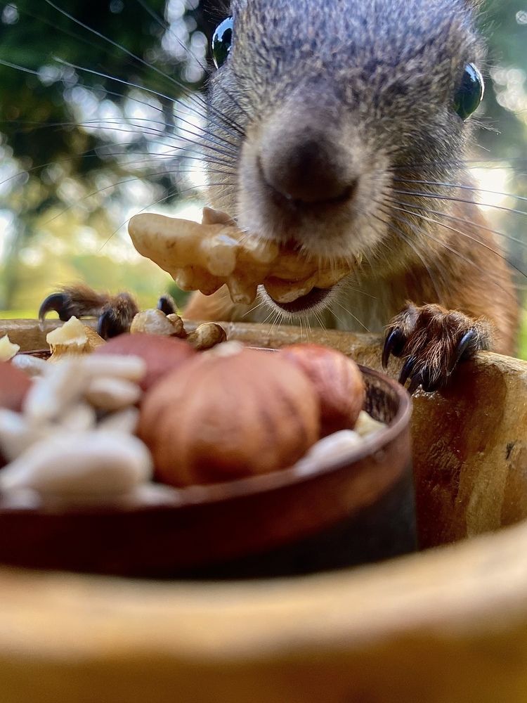 Спасибо, друг