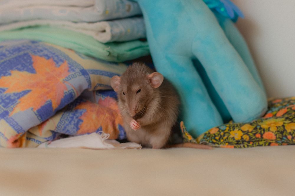 Photograph by Дмитрий Пасынков