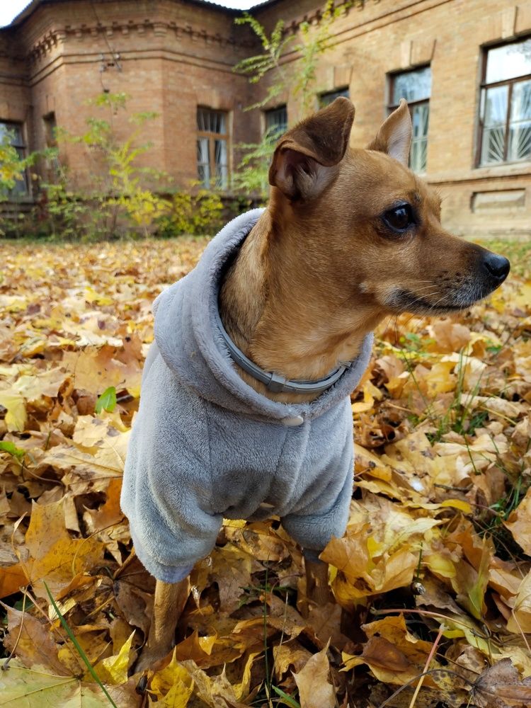 Photograph by Наташа Верхоламова