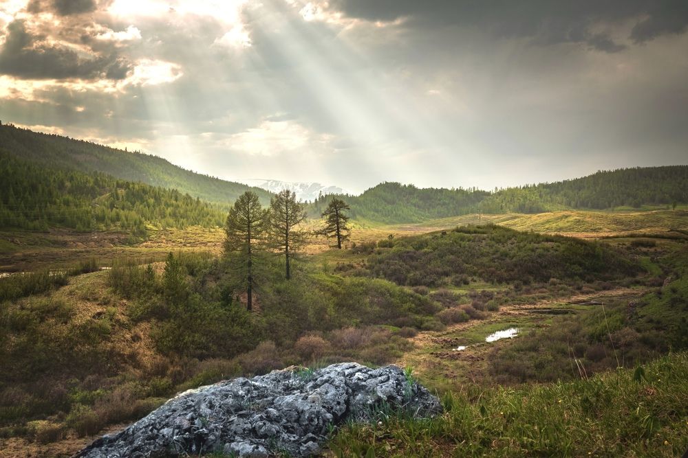 Фотография автора Andrey