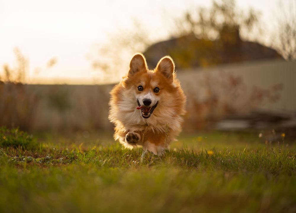Фотография автора Роман Москвичев