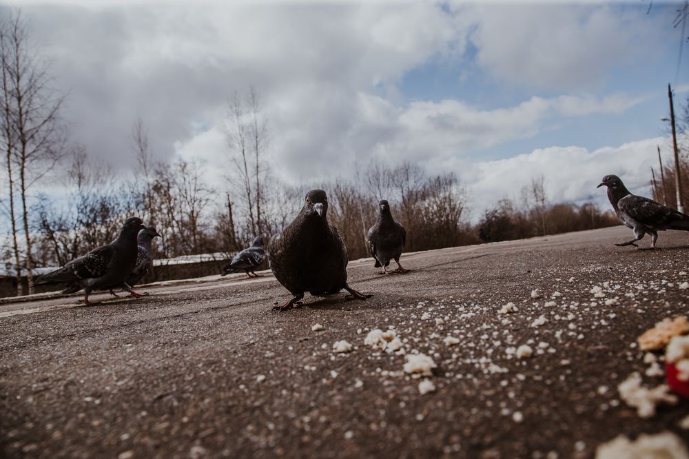 Photograph by Дмитрий Пасынков