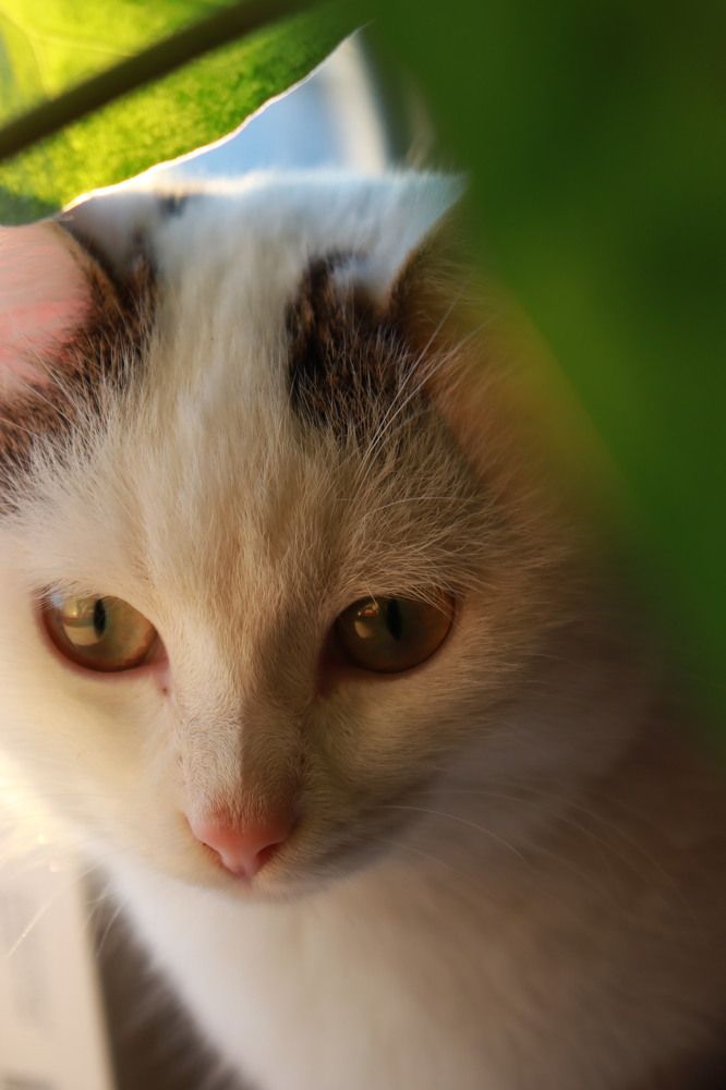 Photograph by Лиана Ишбаева