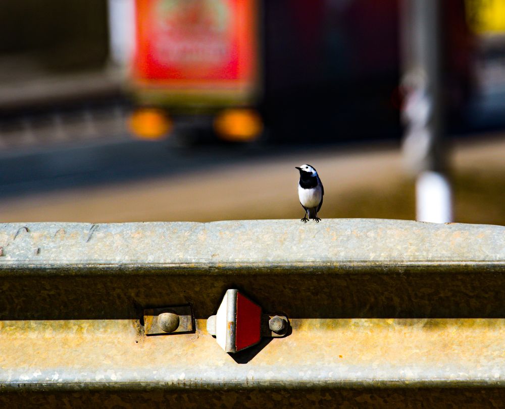 Photograph by Анна Чадова