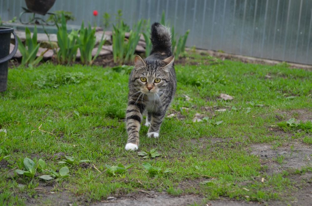 Photograph by Анастасия Кудина