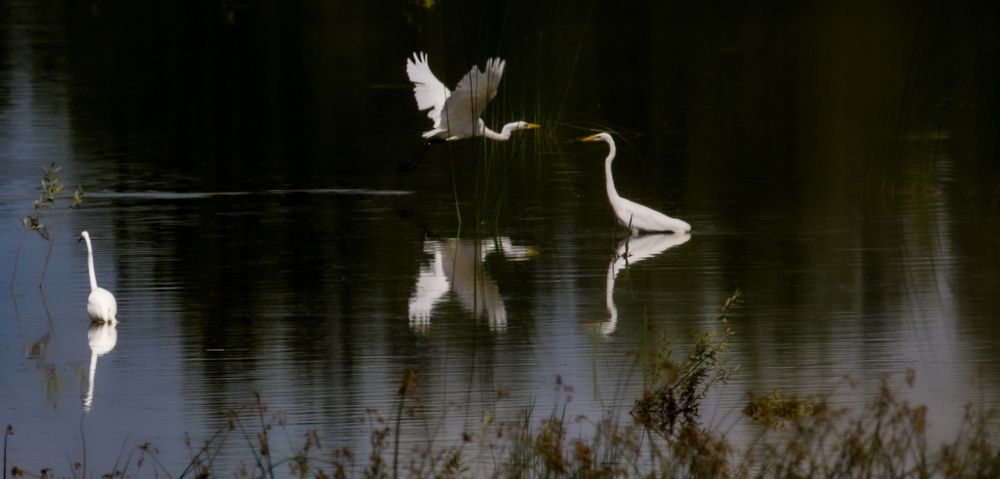 Photograph by Анна Чадова