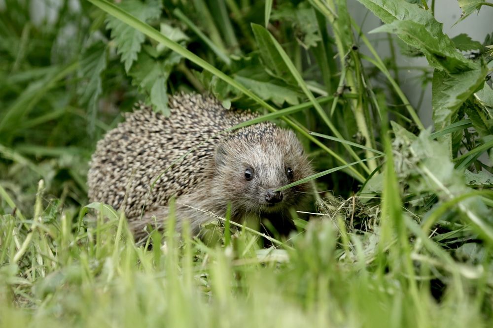 Photograph by Oksana Shchegolkova