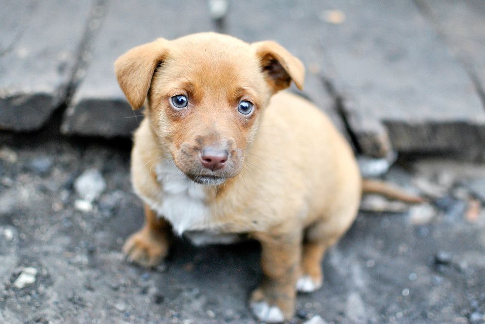 Photograph by Людмила Прибылова