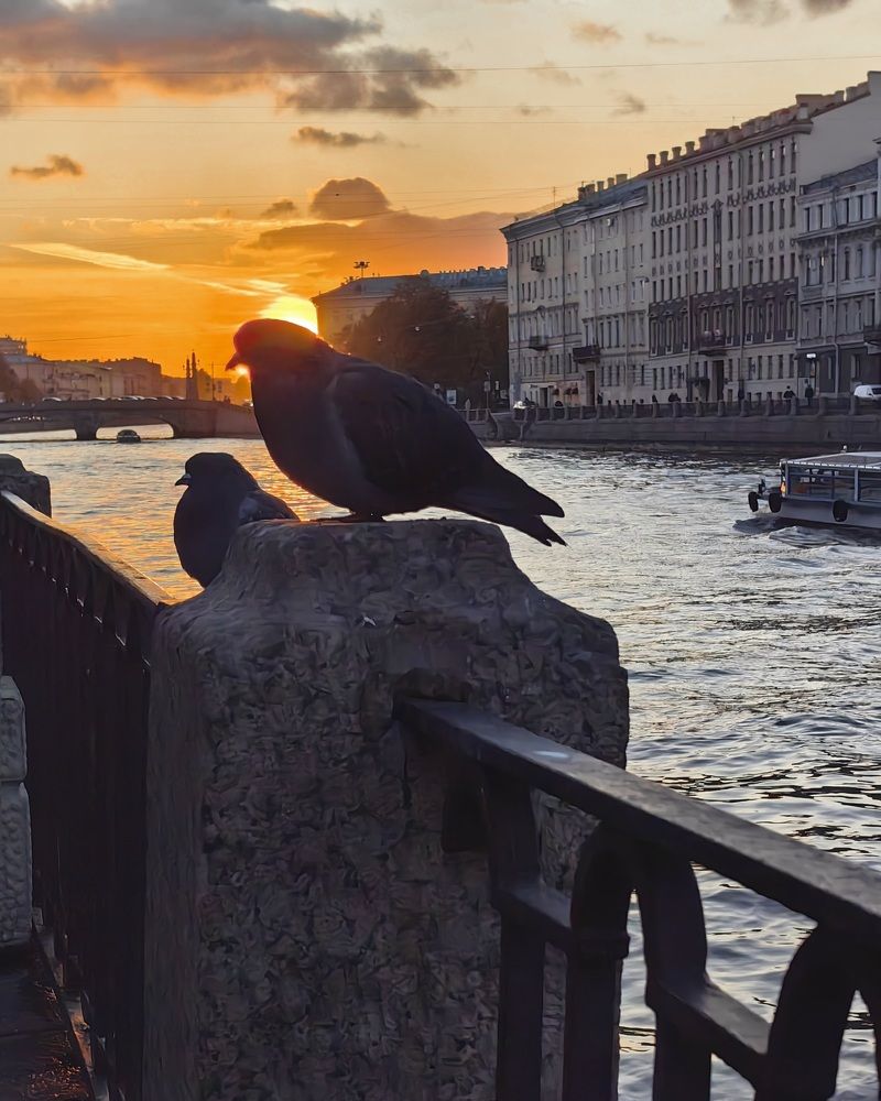 Photograph by Светлана Морева